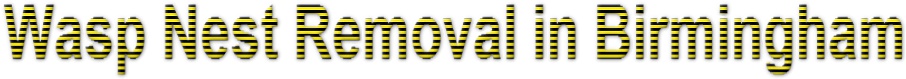 Wasp Nest Removal In Birmingham